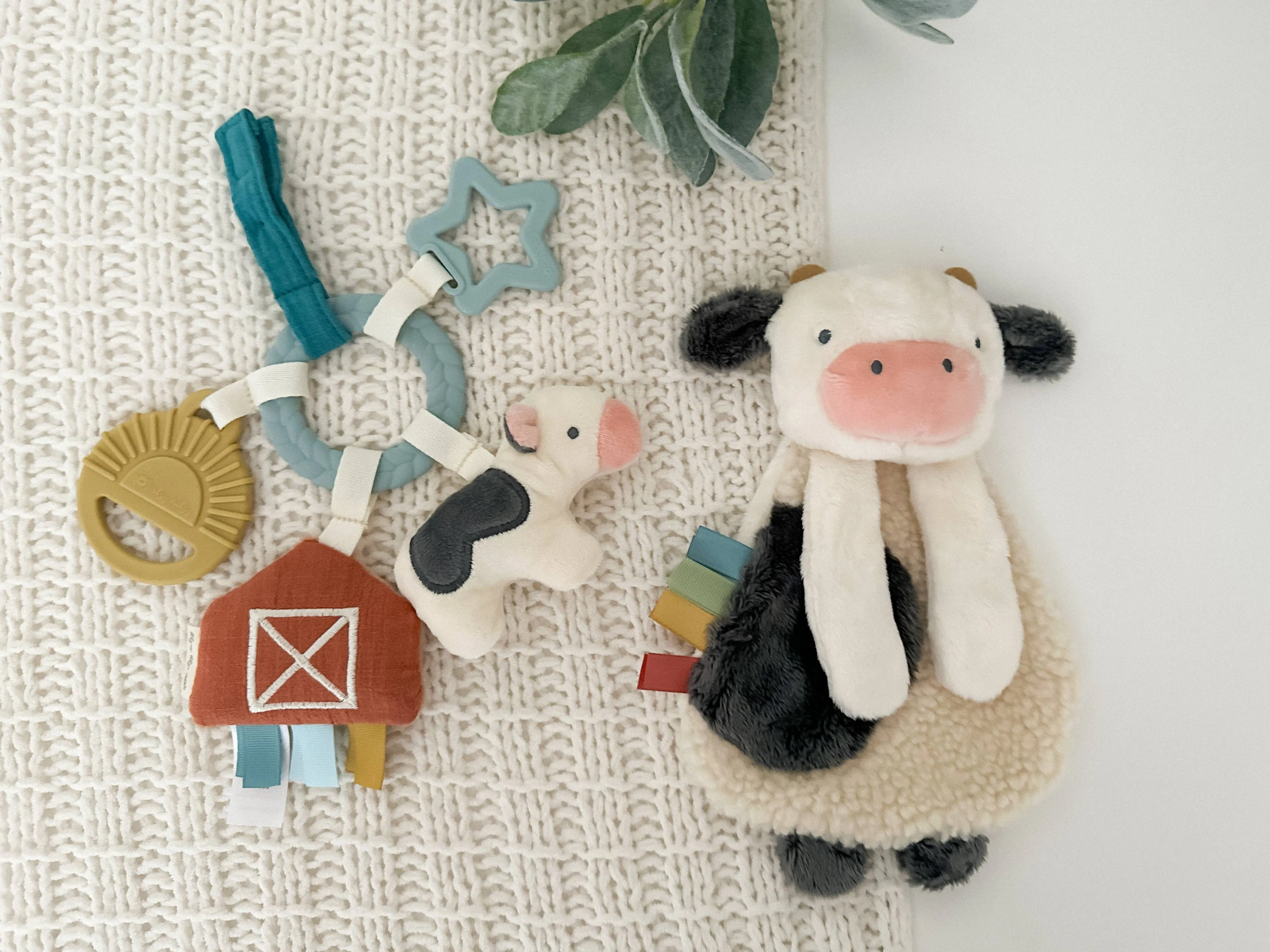 Bitzy Busy Gift Set