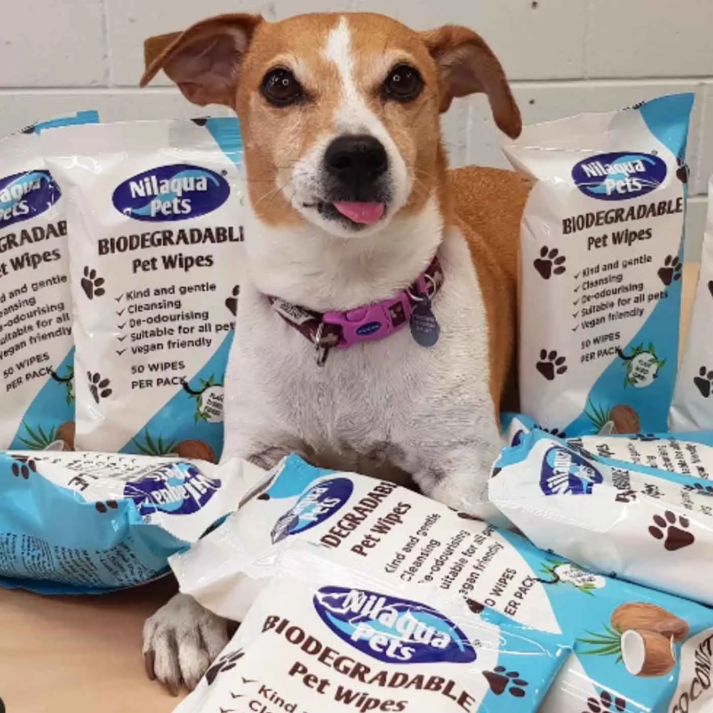 Nilaqua Biodegradable Pet Wipes