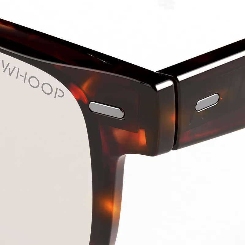 Remy Tortoise Frames with All-Day Lenses
