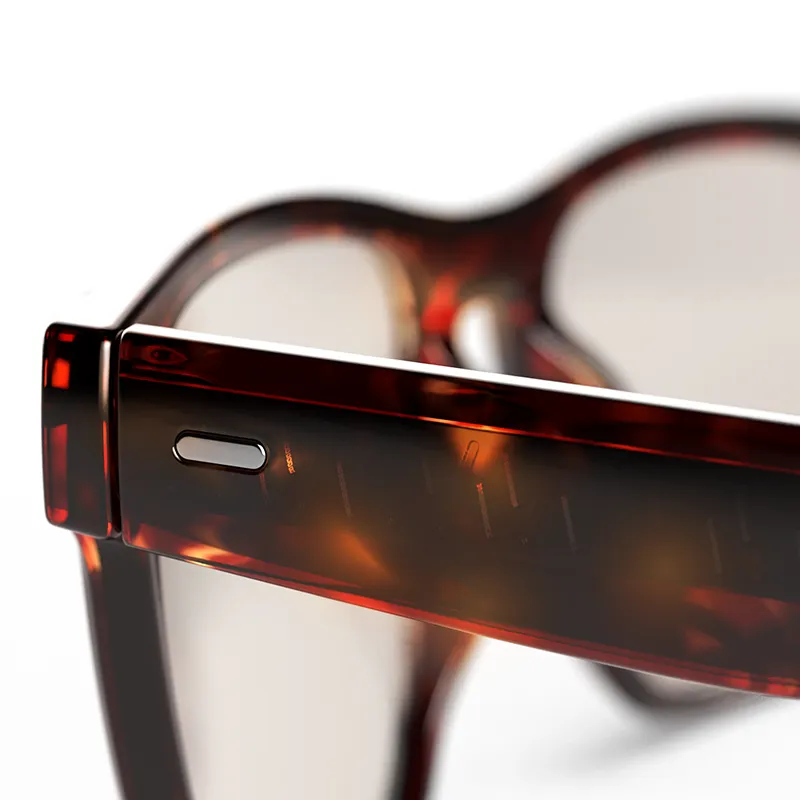 Remy Tortoise Frames with All-Day Lenses