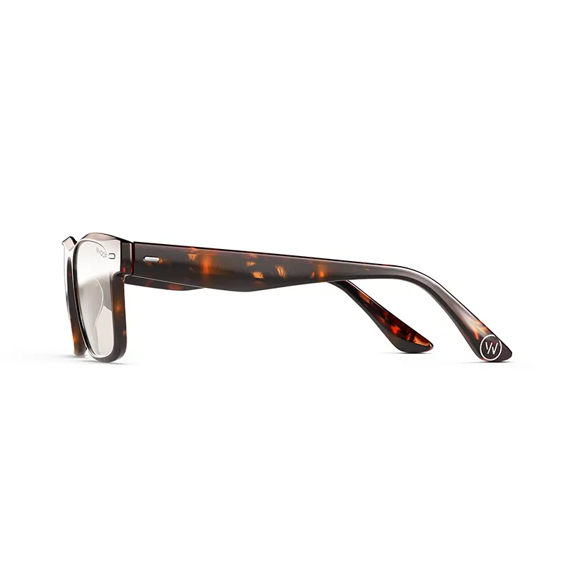 Remy Tortoise Frames with All-Day Lenses