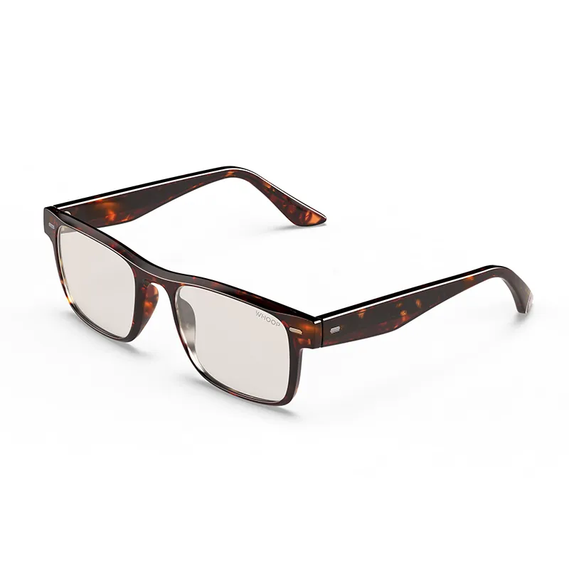 Remy Tortoise Frames with All-Day Lenses