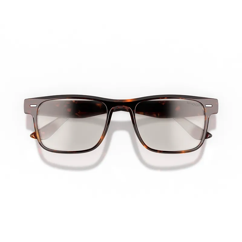 Remy Tortoise Frames with All-Day Lenses